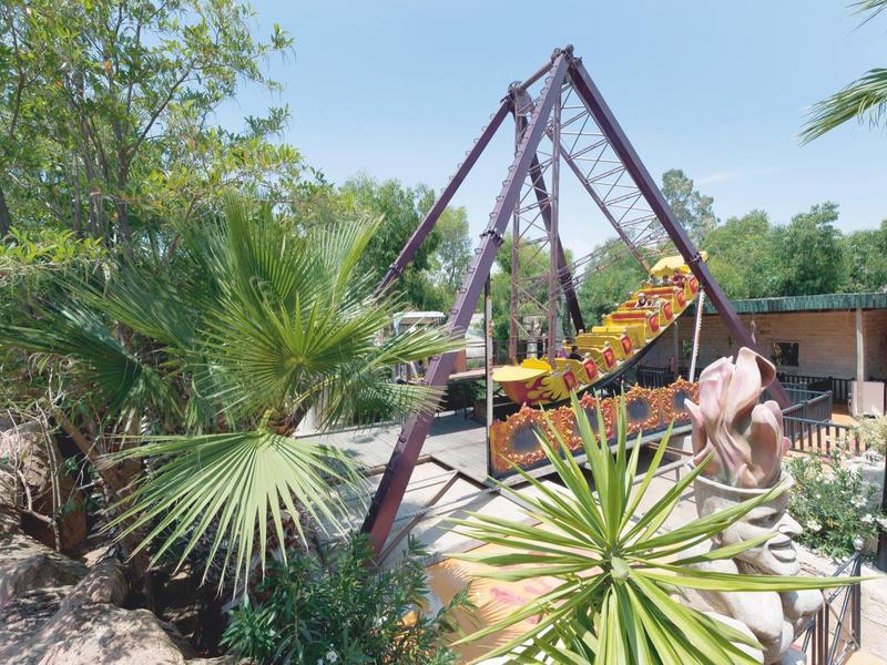Giostra in un parco divertimenti soleggiato circondata da piante tropicali verdi e rigogliose.