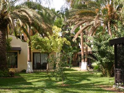 Zielony ogród z palmami i budynkami w tle w słoneczną pogodę.