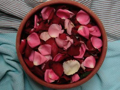 Schale mit roten und rosa Rosenblättern auf blau gestreiftem Stoff, Urlaubsdeko im Hotel.