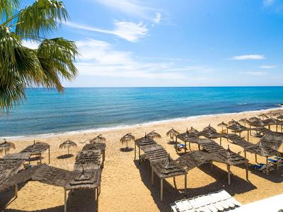 Leerer Strand mit Sonnenschirmen und Liegen an einem sonnigen Tag neben Palmen.