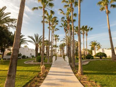 Camino pavimentado bordeado de altas palmeras y zonas verdes bajo un cielo azul.