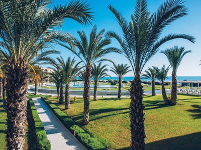 Grüner Garten mit Palmen und weißem Weg an einem sonnigen Tag mit blauem Himmel und Meer im Hintergrund.