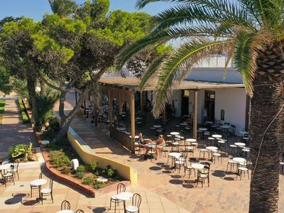 Terrasse de café avec tables et chaises sous des palmiers par une journée ensoleillée.