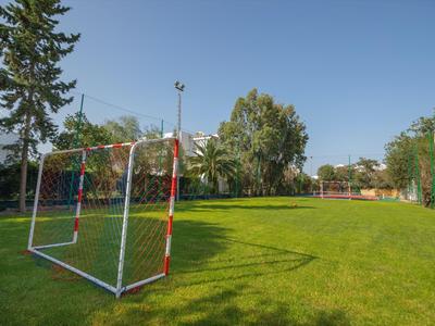 Voetbaldoel op groen veld met bomen en blauwe lucht op de achtergrond