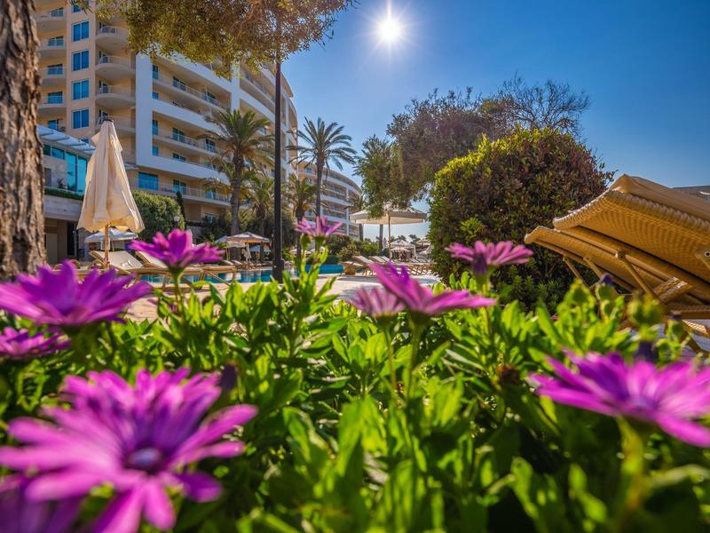 Vista de flores moradas y sombrillas frente a un hotel en un día soleado.
