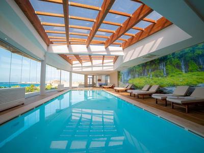 Innenpool mit Tageslicht durch Holzdeckenfenster und Blick auf eine grüne Wand.