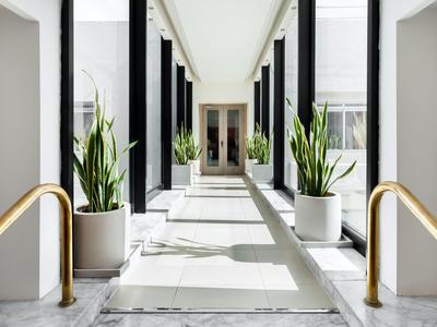 Corridoio moderno e luminoso con pareti bianche, grandi piante e corrimani dorati.
