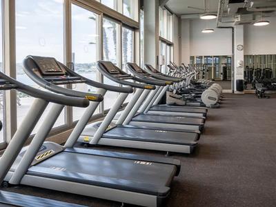 Palestra moderna e luminosa con diversi tapis roulant accanto a grandi finestre.