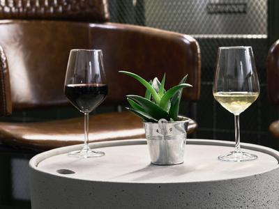 Glass of red and white wine next to small plant on round table in front of leather chairs