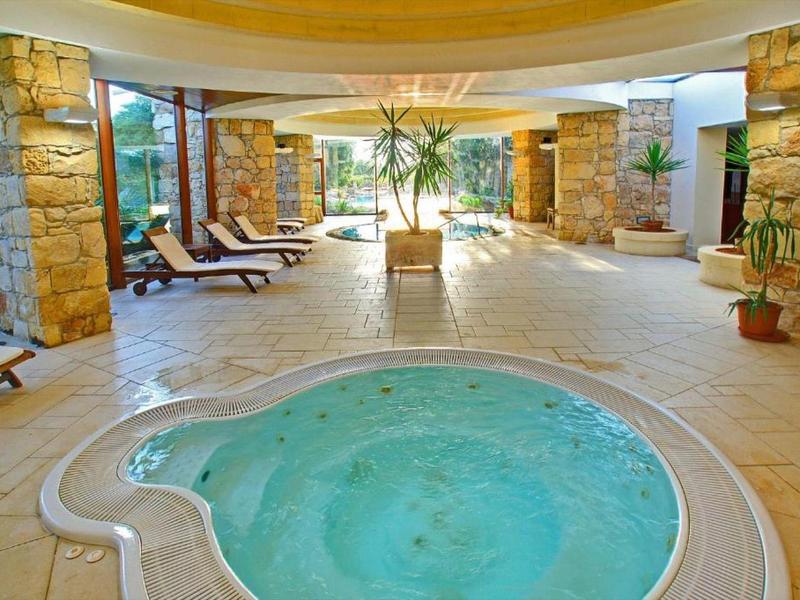 Área interior con jacuzzi, tumbonas y plantas en un spa de hotel.