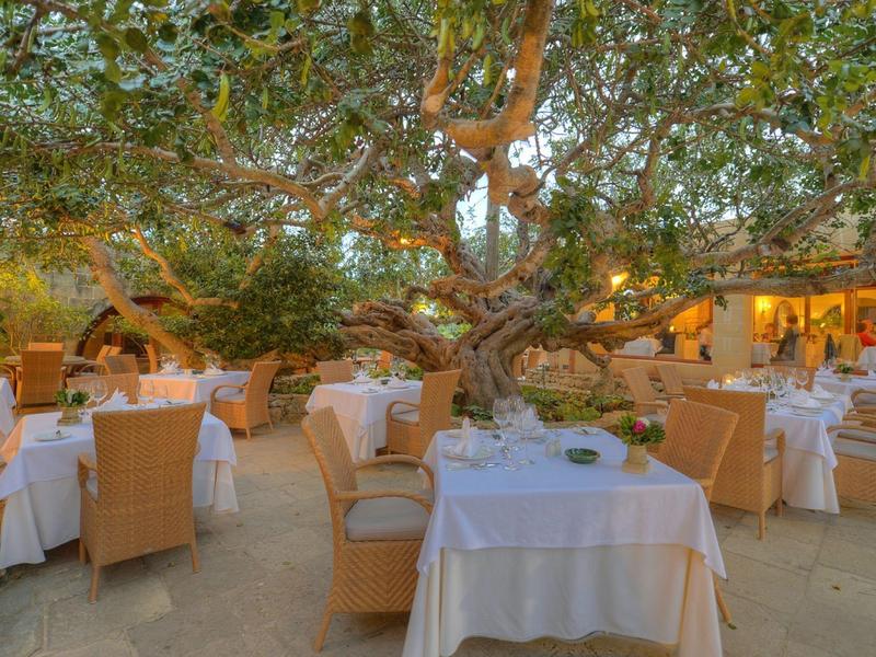 Restaurante al aire libre único con mesas bajo un gran árbol, iluminado cálidamente