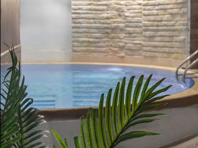 Rond binnenzwembad met heldere verlichting, omlijst door stenen muur en groen palmblad op de voorgrond.