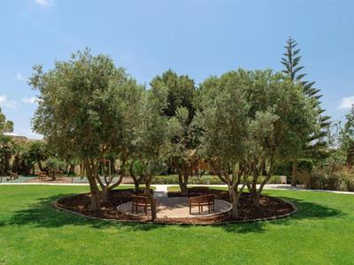 Kruhová odpočinková zóna obklopená malými olivovníky na upravené trávě