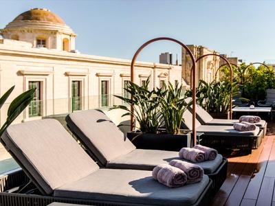 Dachterrasse mit bequemen Liegestühlen und dekorativen Pflanzen bei sonnigem Wetter.