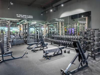 Gimnasio moderno con espejos, pesas y equipos de entrenamiento.