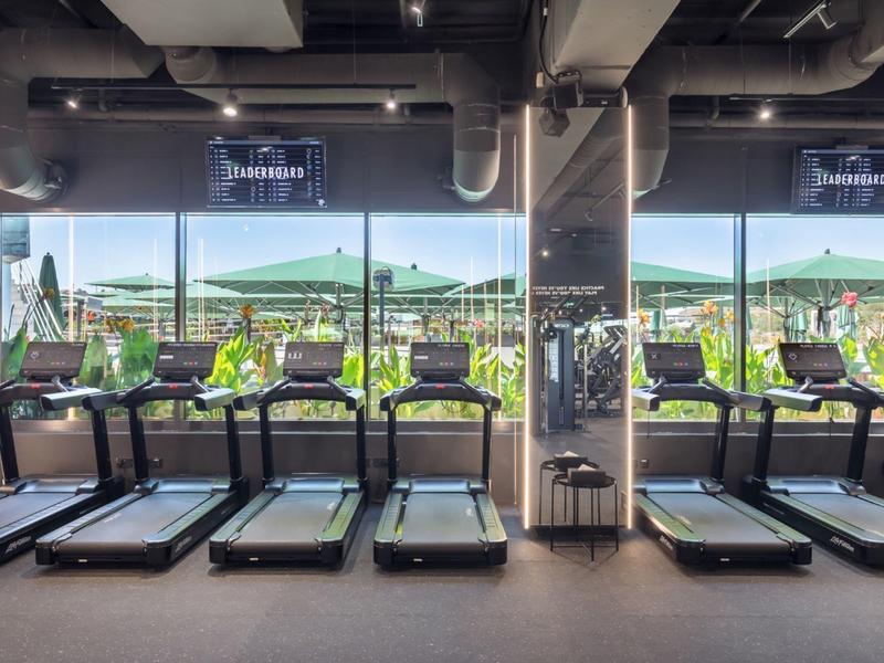 Salle de sport avec plusieurs tapis roulants et fenêtres donnant sur des collines verdoyantes.