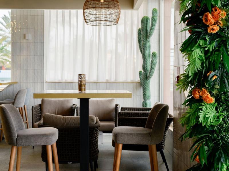 Espace de détente moderne avec chaises grises, table en bois et cactus décoratif près d'une grande fenêtre.