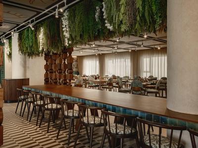 Moderner Essbereich mit hölzerner Theke, hohen Stühlen und hängender Pflanzeninstallation.