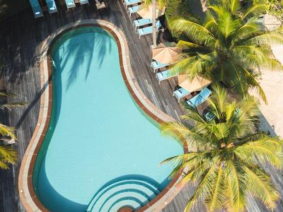 Ovale Poollandschaft mit blauen Liegestühlen und Palmen auf Holzdeck