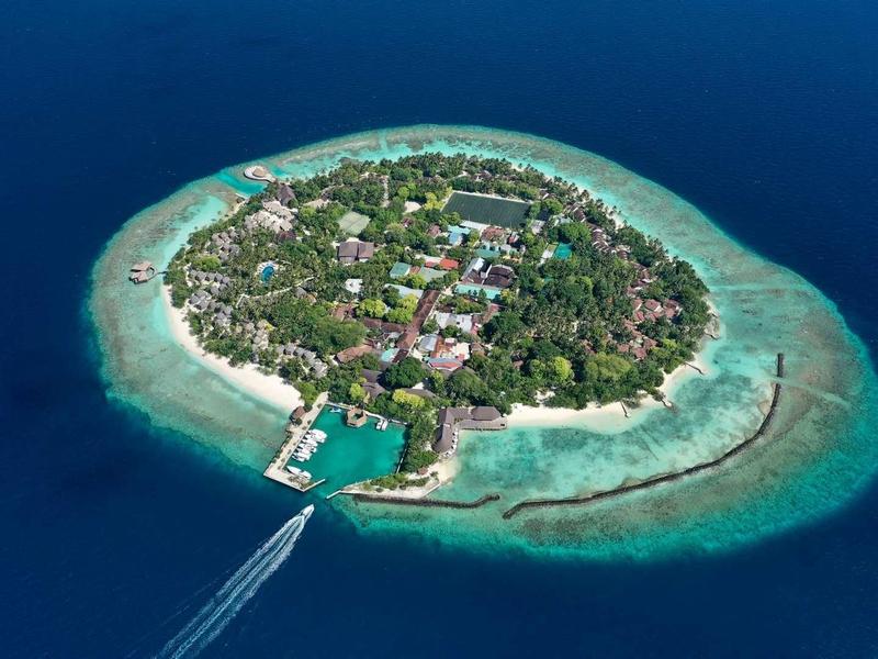 Kleine tropische Insel mit dichtem Grün, umgeben von klarem türkisblauem Wasser und einem Korallenriff.