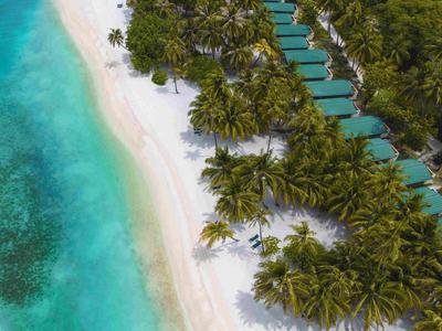 Blick von oben auf einen Strand mit türkisfarbenem Wasser, Palmen und über dem Wasser gebauten Bungalows.