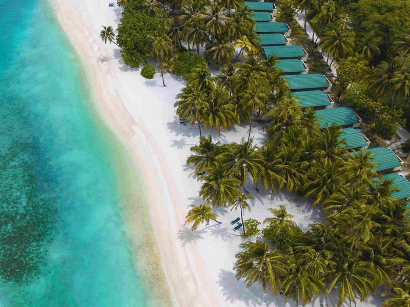 Blick von oben auf einen Strand mit türkisfarbenem Wasser, Palmen und über dem Wasser gebauten Bungalows.