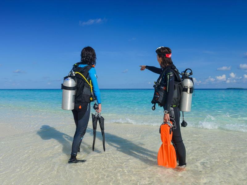 Deux plongeurs en tenue complète se tiennent dans l'eau peu profonde sur la plage, regardant vers la mer.