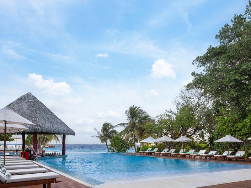 Piscine à débordement avec chaises longues et parasols, plantes tropicales en arrière-plan.