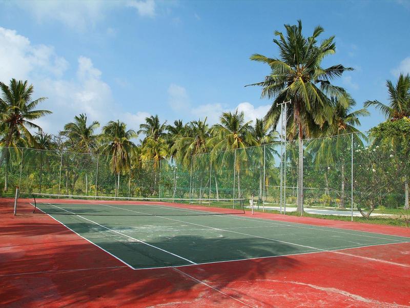 Leerer Tennisplatz mit grünem Netz, rotem Boden, umgeben von hohen Palmen und blauem Himmel.