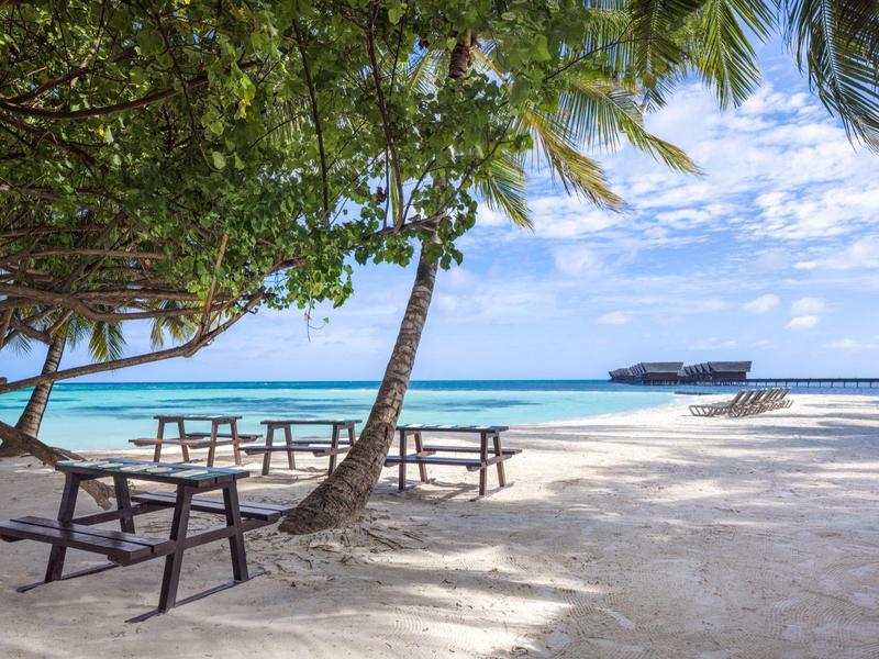 Strand mit weißem Sand, Palmen, Bänken und Boot bei klarem Himmel und türkisfarbenem Meerwasser.