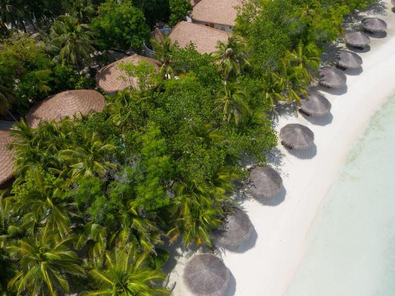 Weißer Sandstrand mit runden Sonnenschirmen und dichtem grünen Palmenwald daneben.