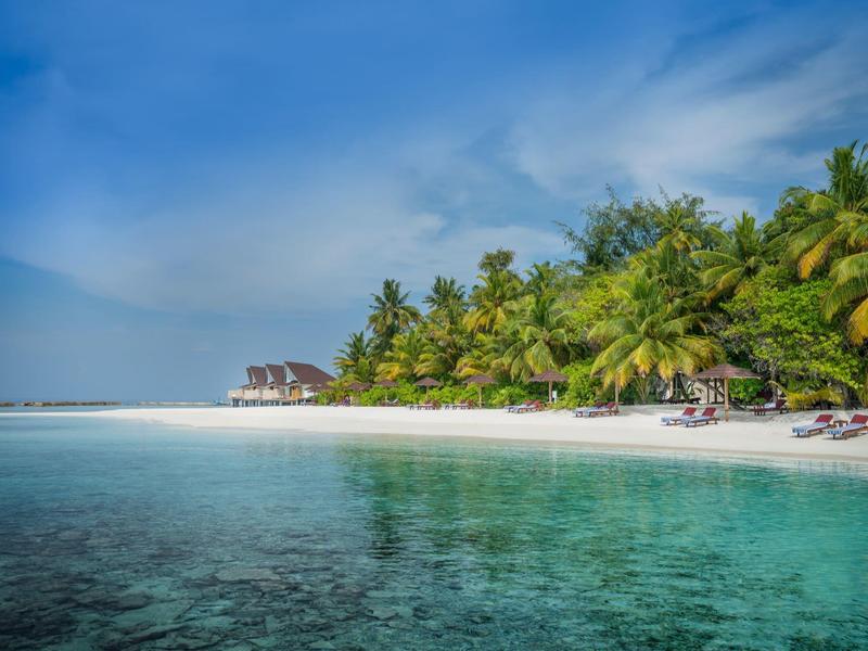 A tropical beach with crystal-clear water, white sand, and palm trees under a clear sky.