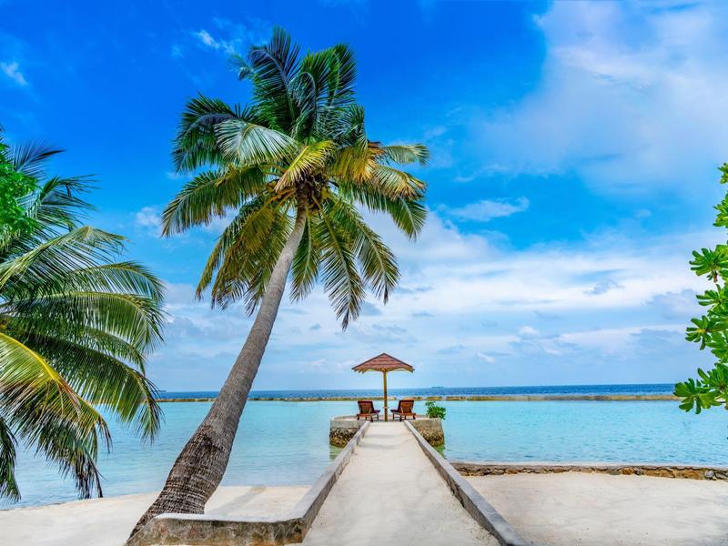Pier with palm trees leading to a gazebo over blue sea under sunny sky