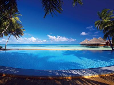 Ein großer Pool umgeben von Palmen mit Blick auf das türkisfarbene Meer und blauen Himmel.