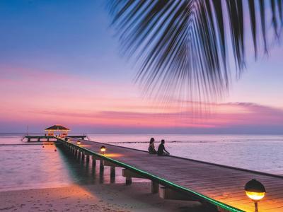 Un molo con due persone al tramonto e una foglia di palma nel cielo.