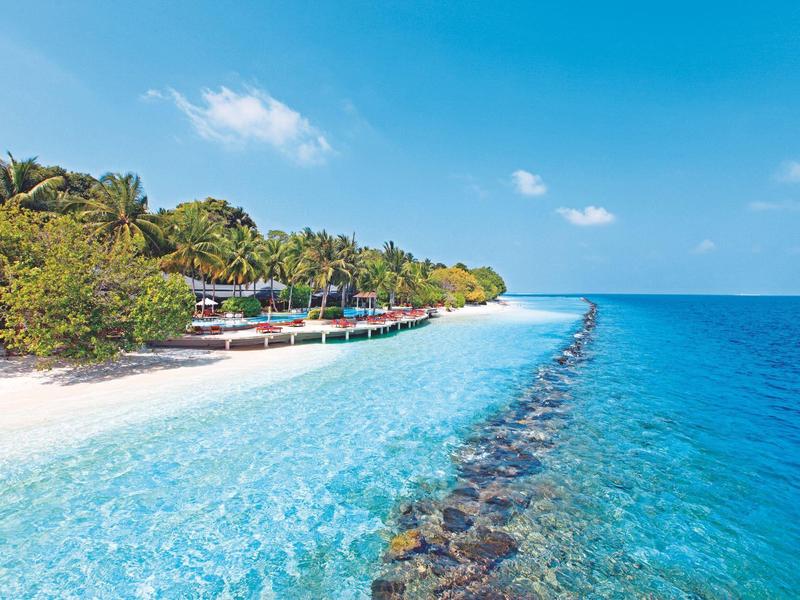 Spiaggia sabbiosa con acqua blu chiara e palme sotto un cielo azzurro.