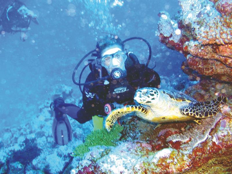 Taucher unter Wasser neben einer Meeresschildkröte am farbenfrohen Korallenriff