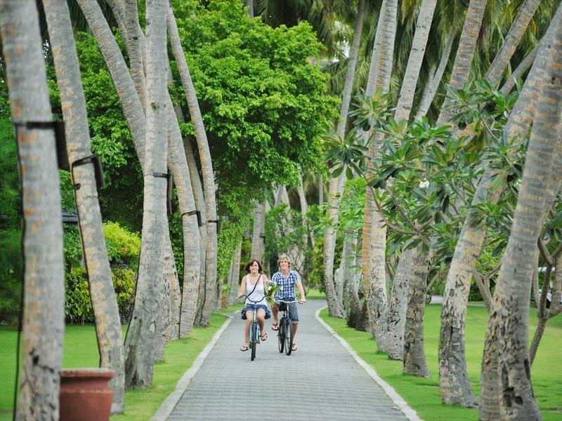 Zwei Personen fahren auf einer palmengesäumten Promenade mit grünem Gras.