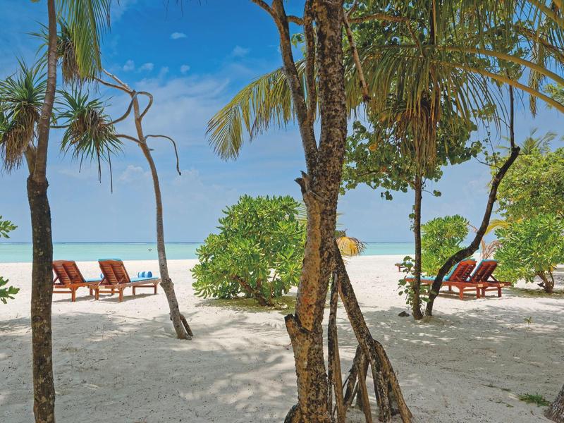 Strand mit weißen Sand, tropischen Bäumen und Liegestühlen unter blauem Himmel.