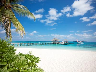 Weißer Sandstrand mit Palmen, grünem Gebüsch, türkisblauem Meer und langem Steg zum Wasser.