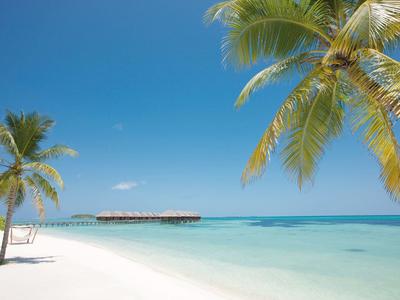 Weißer Sandstrand mit grünen Palmen und türkisblauem Meer unter klarem blauem Himmel.