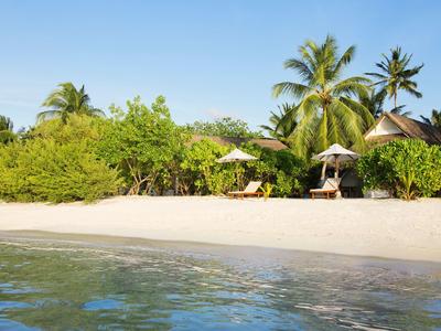 Tropischer Strand mit weißem Sand, grünen Palmen und klarem blauem Wasser unter hellem Himmel.