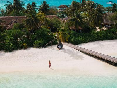 Une personne solitaire sur une plage de sable blanc avec de l'eau turquoise et des palmiers en arrière-plan.