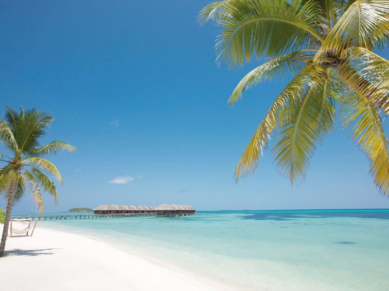 Weißer Sandstrand mit grünen Palmen und türkisblauem Meer unter klarem blauem Himmel.