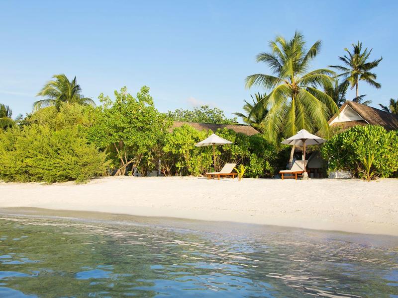 Tropischer Strand mit weißem Sand, grünen Palmen und klarem blauem Wasser unter hellem Himmel.