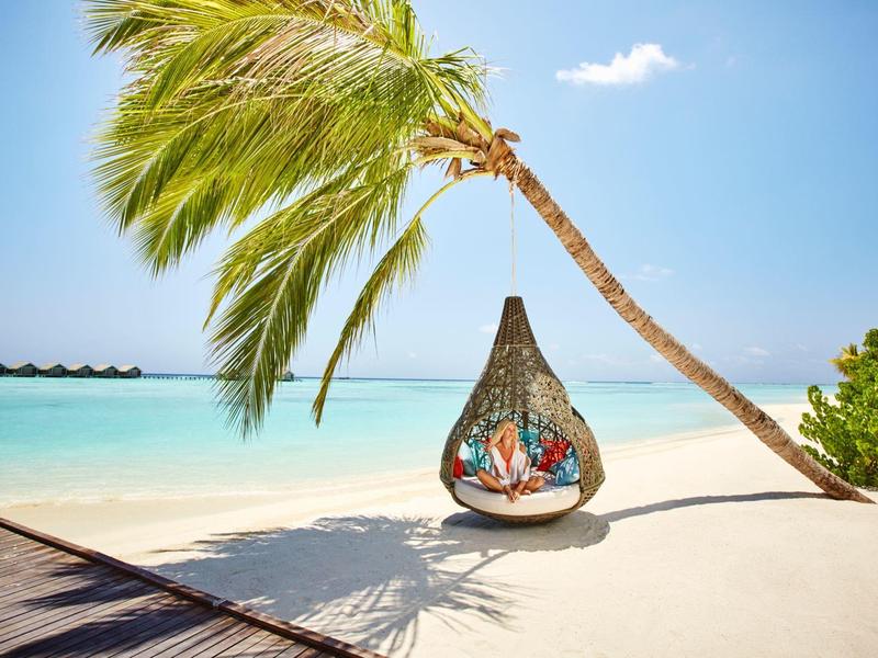 An einem weißen Sandstrand hängt ein Korbsessel an einer schrägen Palme mit türkisblauem Meer im Hintergrund.
