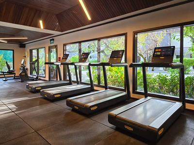 Salle de sport moderne avec plusieurs tapis de course devant de grandes fenêtres et un plafond en bois.