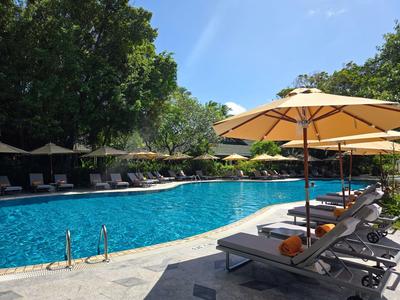 Grand bassin d'hôtel clair avec chaises longues et parasols dans un cadre verdoyant.