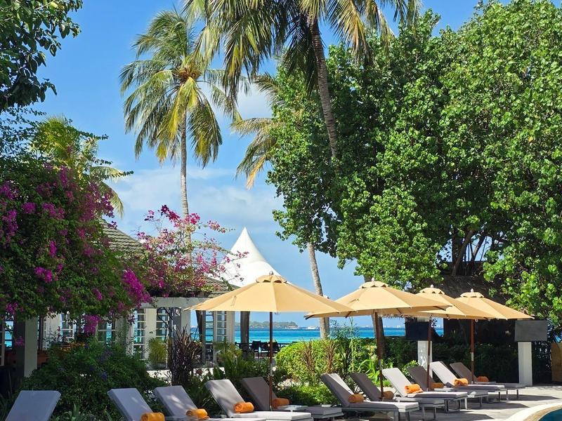 Schwimmbad mit Liegestühlen, Sonnenschirmen und Palmen in einem tropischen Hotelgarten.