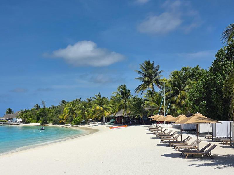 Strand mit Liegestühlen, Sonnenschirmen und Palmen unter blauem Himmel am Meer